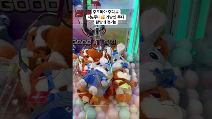 주토피아 주디 한방에 뽑기 #인형뽑기 #주디 #주토피아 #토끼인형