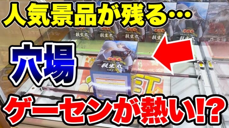 【クレーンゲーム】超人気景品が残るゲーセンが実は激熱の穴場だった！？