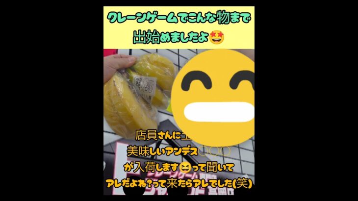 【クレーンゲーム】とうとうアレが景品で出てきたか！！