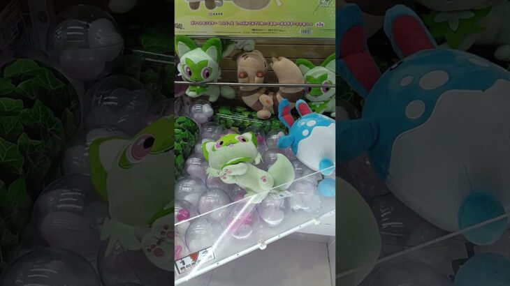 ポケモンが景品のクレーンゲームをやってみた #クレーンゲーム