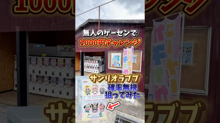 【ゲーセン】無人のゲームセンターでラブブの確率無視狙ってみた💸