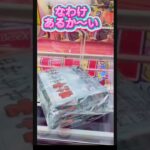 美味そうな海苔発見これは取るしかない！