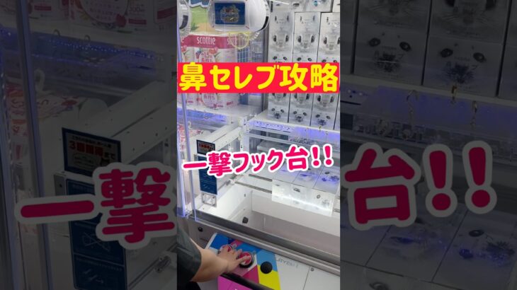 【とれすぎーの】一撃フック台で鼻セレブ攻略！！！