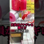 店員がブチギレる獲り方[クレーンゲーム攻略]