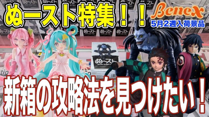 【クレーンゲーム】ぬースト特集！箱が変わってそろそろ攻略法を見つけようと思ったのだが…。　臨機応変に対応していくのが大事！　＠ベネクス川崎店