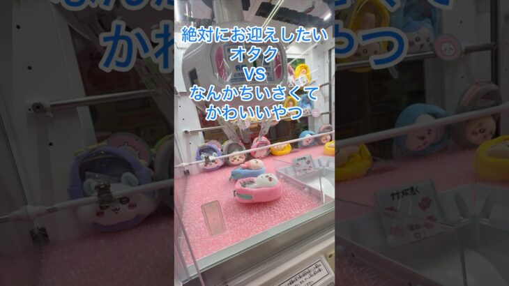 【ちいかわ】窓付きおかおミニポーチをゲットしてきたよ♡