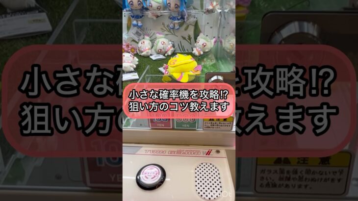 【クレーンゲーム攻略】小さな確率機を攻略！？狙い方のコツ教えます！！