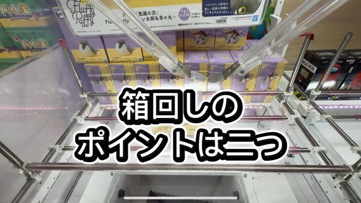 箱回しを決めるポイント二つ紹介#攻略 #解説 #クレーンゲーム #フィギュア ？