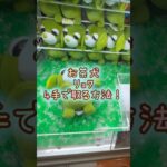 【クレーンゲーム】 ラウンドワンでお茶犬のリョクのお昼寝ver.のぬいぐるみを4手で簡単に取る取り方のコツをお見せします！ #shorts