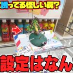 【驚愕】なにがあった！？久しぶりに京都のゲーセンに行ったら衝撃の連続だったw【クレーンゲーム】