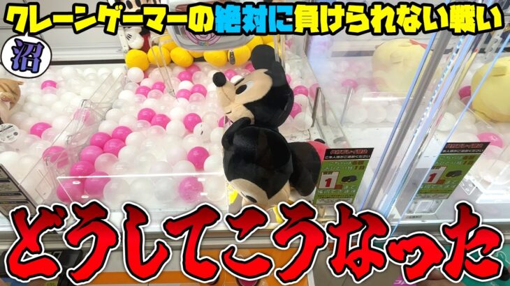 【前編】こんなのアリ！？プロ絶賛のあのゲーセンで一万円使った結果がヤバすぎたw【クレーンゲーム】
