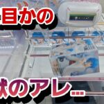 【激辛】絶妙な設定に冷や汗が止まらないwジワジワ系YouTuber