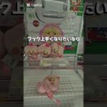 【フック攻略】フック上手くなりたければ、これを見ろ！！いろいろな取り方をマスターして、君もフックマスターになろう！！#youtubeshorts #youtube #クレーンゲーム #フック