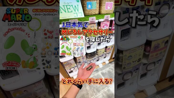 【ガチャ】めじるしアクセサリーを求めて1日本気で探したらどれくらい手に入る？