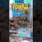 鼻水鉄砲取ってみた　 #クレーンゲーム #10円キャッチャー #ゲームセンター #ゲーセン #ufoキャッチャー #ガチャガチャ #サンリオ #攻略 #フィギュア #スクイーズ 　