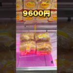 お菓子・日用品は買うな！四国最大級のゲーセンで10000円チャレンジ！ #shorts #クレーンゲーム #ufoキャッチャー #cranegame