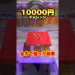 “島”史上一番獲れる淡路島のゲーセンで10000円チャレンジ！ #shorts #クレーンゲーム #ufoキャッチャー #cranegame