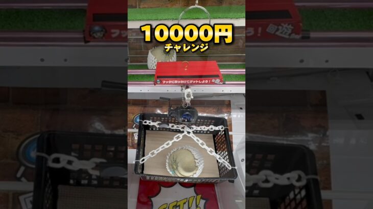 オープンから一ヶ月！全台無制限の店で10000円チャレンジ！ #shorts #クレーンゲーム #ufoキャッチャー #cranegame