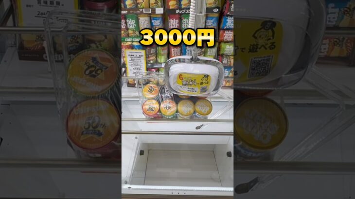 大都会東京の衝撃的なゲーセン！10000円チャレンジした結果…洗礼を受けました。 #shorts #クレーンゲーム #ufoキャッチャー #cranegame