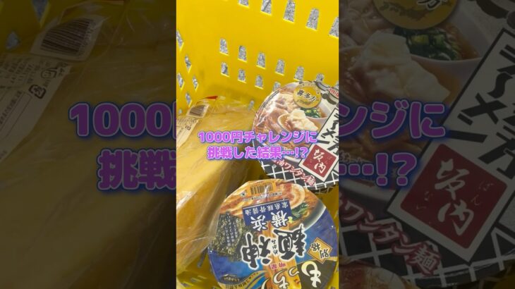 クレーンゲーム歴1ヶ月の女が1000円チャレンジした結果…！？