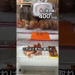1日1000円しか使えないクレーンゲームの景品だけで生活123日目 #clawmachine #クレーンゲーム #ゲームセンター #ufoキャッチャー #ゲーセン #フック設定