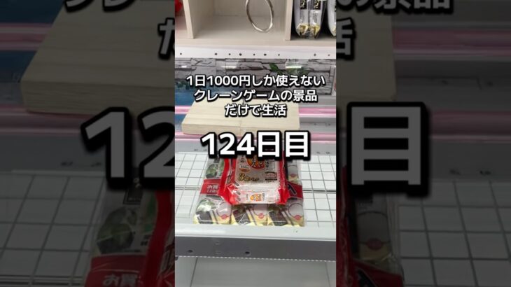 1日1000円しか使えないクレーンゲームの景品だけで生活124日目 #clawmachine #クレーンゲーム #ゲームセンター #ufoキャッチャー #ゲーセン #フック設定