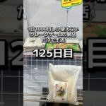1日1000円しか使えないクレーンゲームの景品だけで生活125日目 #clawmachine #クレーンゲーム #ゲームセンター #ufoキャッチャー #ゲーセン #フック設定