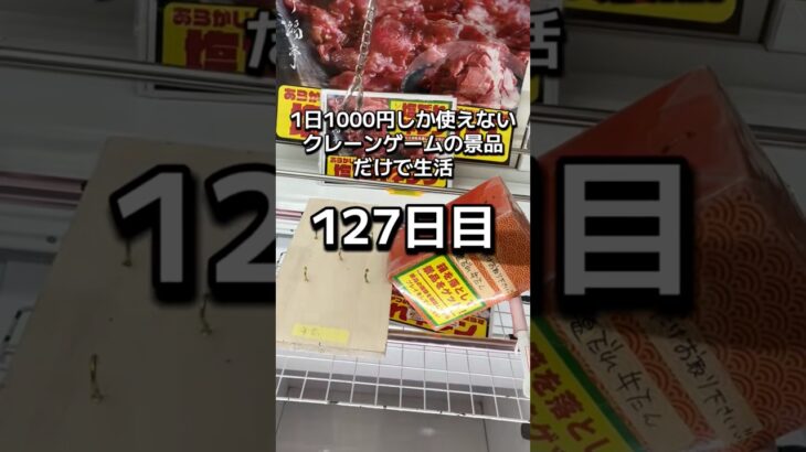 1日1000円しか使えないクレーンゲームの景品だけで生活127日目 #clawmachine #クレーンゲーム #ゲームセンター #ufoキャッチャー #ゲーセン #フック設定