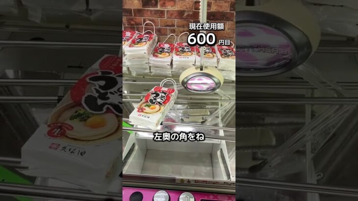 1日1000円しか使えないクレーンゲームの景品だけで生活130日目 #clawmachine #クレーンゲーム #ゲームセンター #ufoキャッチャー #ゲーセン #フック設定