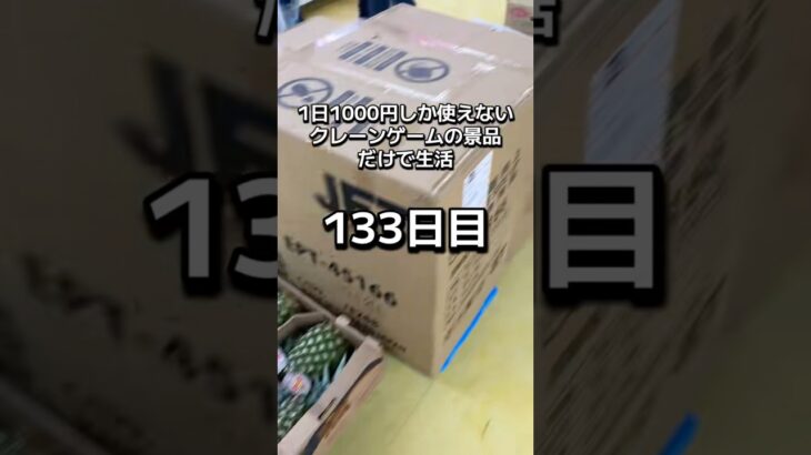 1日1000円しか使えないクレーンゲームの景品だけで生活133日目 #clawmachine #クレーンゲーム #ゲームセンター #ufoキャッチャー #ゲーセン #フック設定