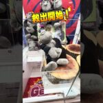 🦍🏆【神回】超巨大ゴリラを攻略‼️3本アームが苦手でも真似すれば獲れる🎯✨