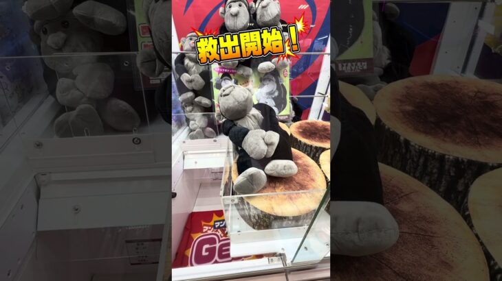 🦍🏆【神回】超巨大ゴリラを攻略‼️3本アームが苦手でも真似すれば獲れる🎯✨