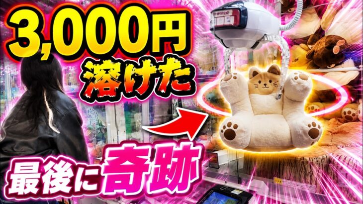 猫のイスに3,000円溶かした結果、最後に奇跡起きたwww