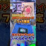 【入手困難】メルカリで5000円するメロジョイスクイーズがフック設定に入っていたので、取れるまで挑戦してみた🔥(クレーンゲーム)
