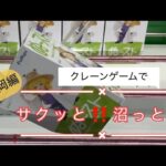 5月22日《福岡編》トレトレ倉庫春日白水店【#クレーンゲーム 】