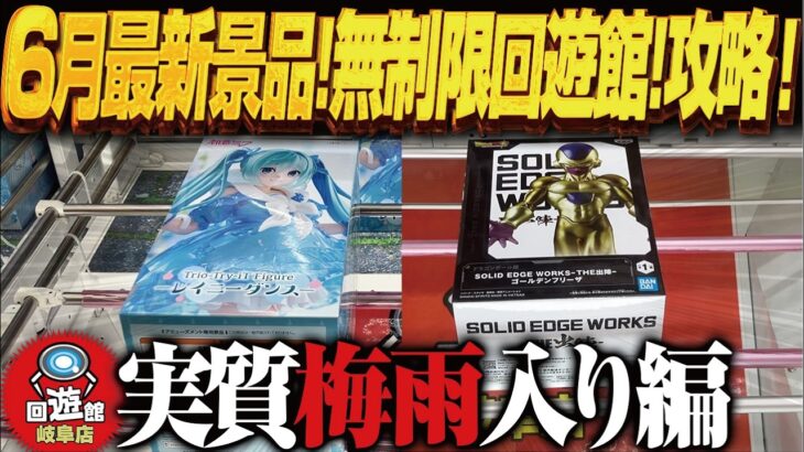 【クレーンゲーム】6月の最新景品！無制限になった回遊館！攻略！回遊館岐阜店！