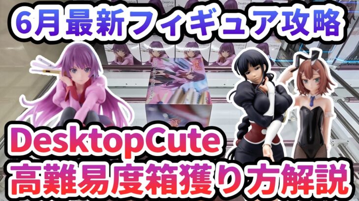 【クレーンゲーム】6月最新フィギュア攻略 DesktopCute 高難易度箱獲り方解説 物語シリーズ 戦場ヶ原ひたぎ