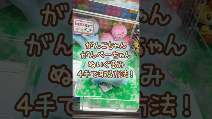 【クレーンゲーム】6/11 ラウンドワンでざわざわ森のがんこちゃん のんびりおやすみBIGぬいぐるみのがんぺーちゃんのぬいぐるみを4手で簡単に取る取り方のコツをお見せします！ #shorts
