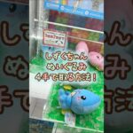 【クレーンゲーム】6/13 ラウンドワンでしずくちゃんのおてせいぬいぐるみを4手で簡単に取る取り方のコツをお見せします！ #shorts