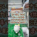 【クレーンゲーム】6/15 ラウンドワンでちいかわのカレーのお供たちBIGぬいぐるみを3手で簡単に取る取り方のコツをお見せします！ #shorts