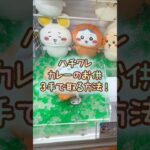 【クレーンゲーム】6/16 ラウンドワンでちいかわのカレーのお供たちBIGぬいぐるみのハチワレのぬいぐるみを3手で簡単に取る取り方のコツをお見せします！ #shorts