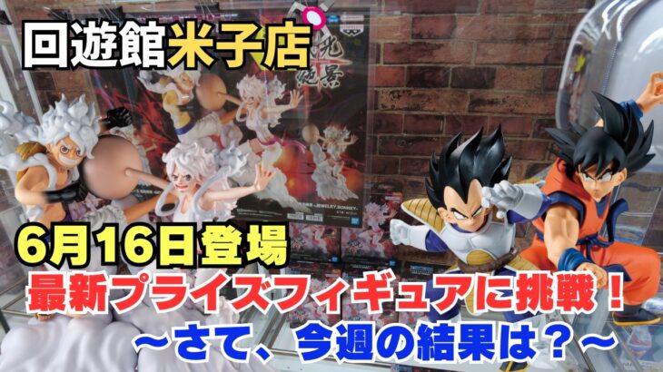 【クレーンゲーム】6月16日登場 最新フィギュアに挑戦！　※詳細は概要欄へ　#クレーンゲーム　#UFOキャッチャー　#回遊館米子店　#回遊館　#クレゲ初心者　#中箱　#橋渡し　#フィギュア