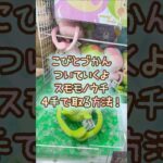 【クレーンゲーム】6/17 ラウンドワンでこびとづかんのついていくよBIGぬいぐるみのスモモノウチのぬいぐるみを4手で簡単に取る取り方のコツをお見せします！ #shortsfeed #shorts