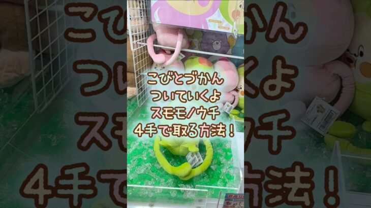 【クレーンゲーム】6/17 ラウンドワンでこびとづかんのついていくよBIGぬいぐるみのスモモノウチのぬいぐるみを4手で簡単に取る取り方のコツをお見せします！ #shortsfeed #shorts