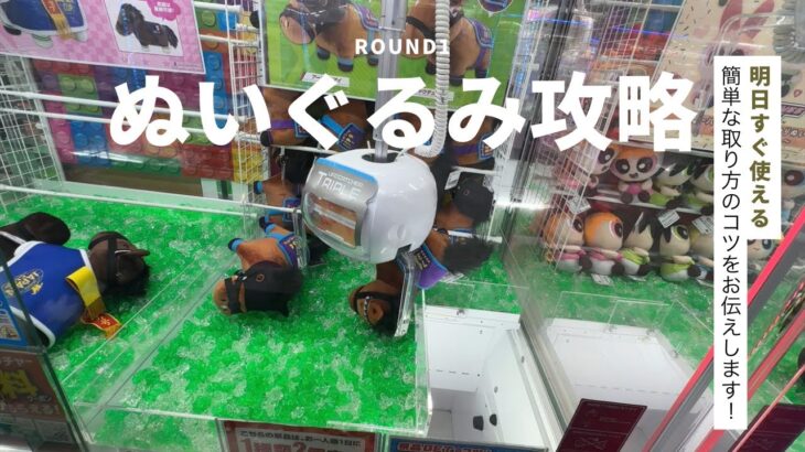 【クレーンゲーム】6/19 ラウンドワンでぬいぐるみを簡単に取る取り方のコツをお見せします！