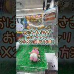 【クレーンゲーム】6/22 ラウンドワンでおぱんちゅうさぎのおぱサファリBIGぬいぐるみを2手で簡単に取る取り方のコツをお見せします！ #shorts