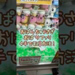 【クレーンゲーム】6/24 ラウンドワンでおぱんちゅうさぎのおぱサファリBIGぬいぐるみを4手で簡単に取る取り方のコツをお見せします！ #shorts