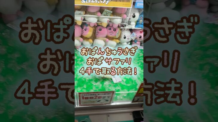 【クレーンゲーム】6/24 ラウンドワンでおぱんちゅうさぎのおぱサファリBIGぬいぐるみを4手で簡単に取る取り方のコツをお見せします！ #shorts