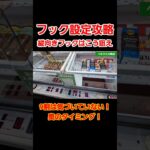 【クレーンゲーム】フック設定攻略！9割は気づいていない縦向きフックの狙い方！#クレーンゲーム #ufoキャッチャー