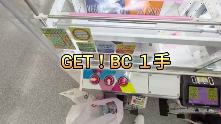 「動画の尺がいつもより短いって？BCワンパンしたからですよ」［2026年6月16日］【エブリデイ 多摩の国】